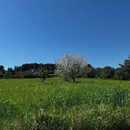 הוילה מרטינה פרנקה Trulli Del Sole מראה חיצוני תמונה