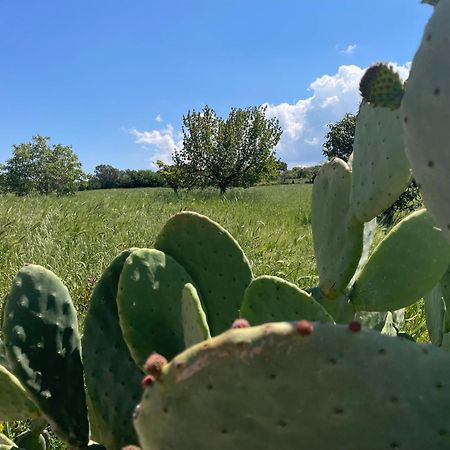 הוילה מרטינה פרנקה Trulli Del Sole מראה חיצוני תמונה