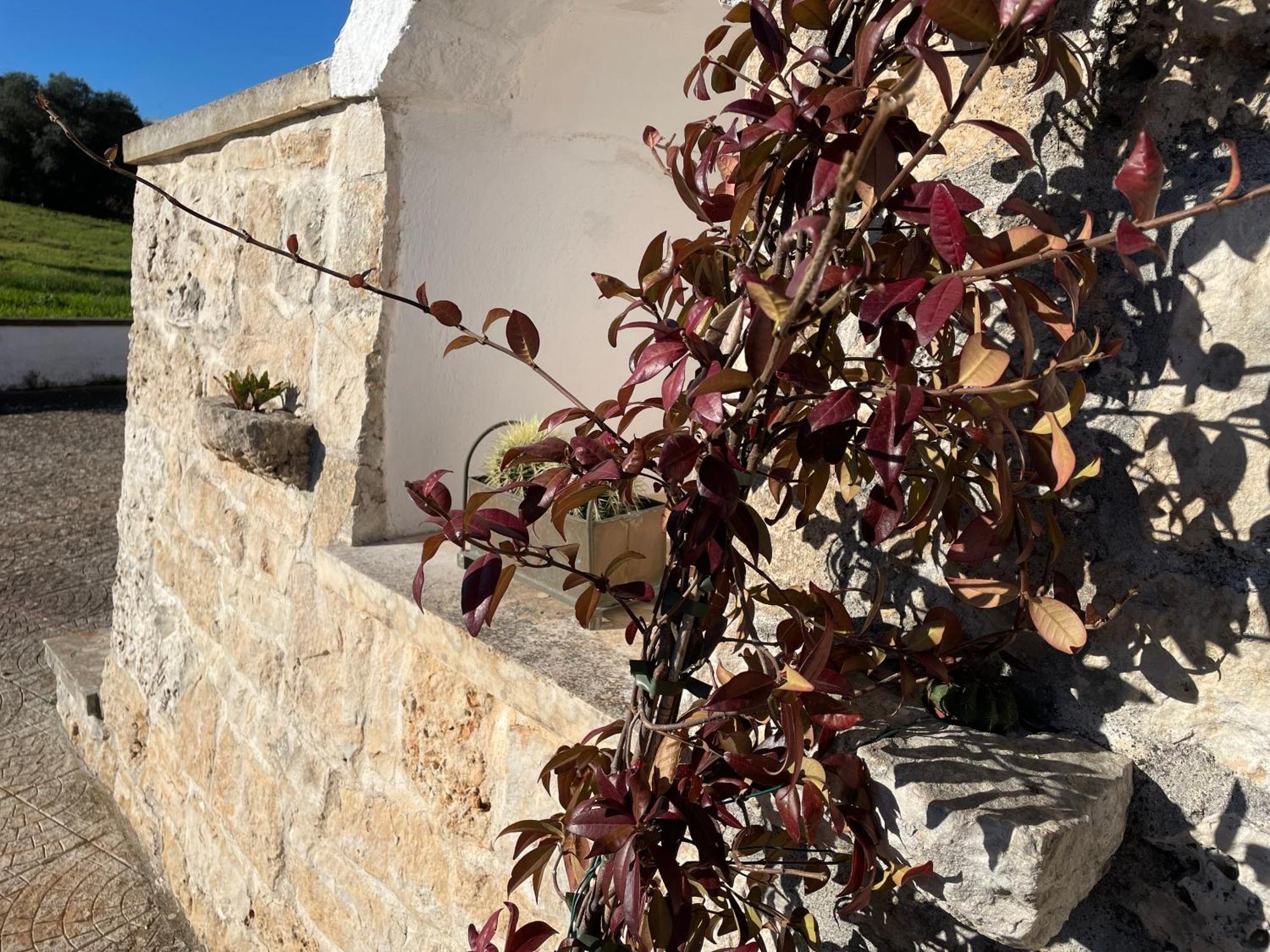 הוילה מרטינה פרנקה Trulli Del Sole מראה חיצוני תמונה