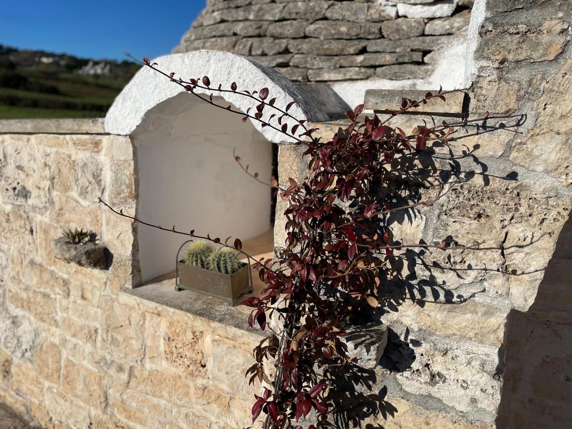 הוילה מרטינה פרנקה Trulli Del Sole מראה חיצוני תמונה