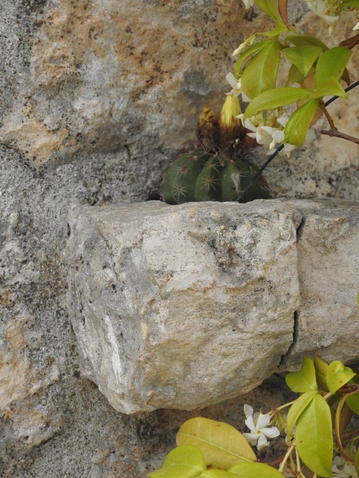 הוילה מרטינה פרנקה Trulli Del Sole מראה חיצוני תמונה